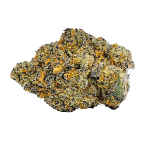 Purple Panty Dropper