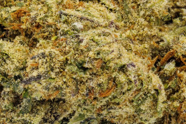 Acapulco Gold - Image 2