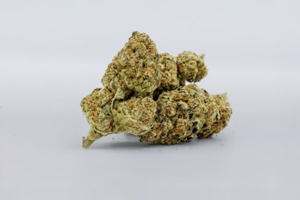 Acapulco Gold - Image 3