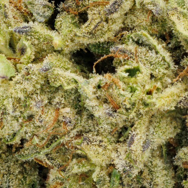 Death Star - Image 5