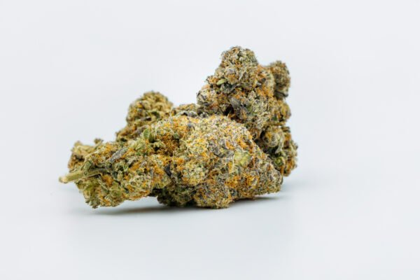 Grease Monkey - Image 4