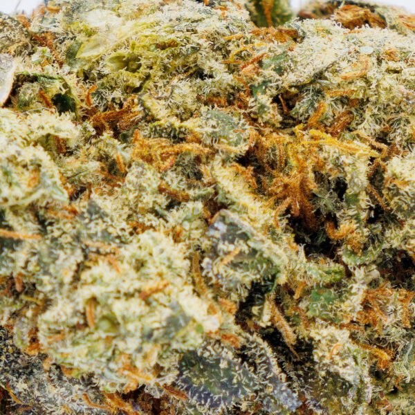 Hippie Crippler - Image 4