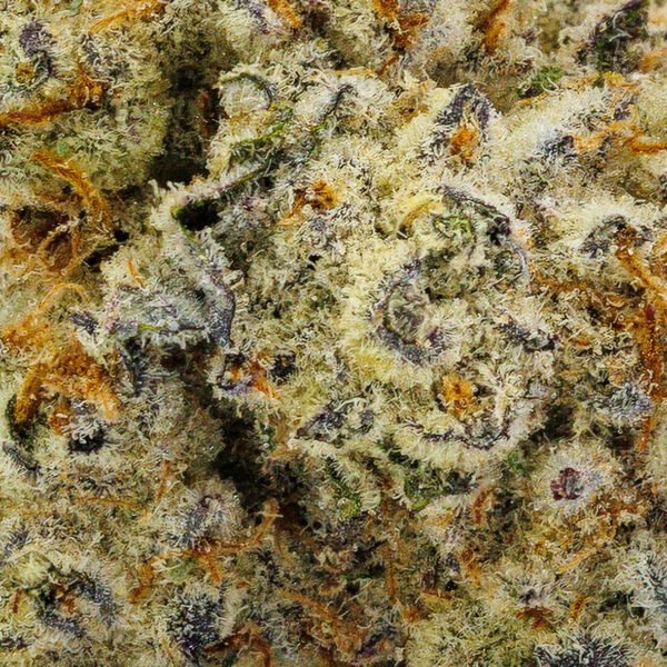 White Chocolate Chip - Image 3