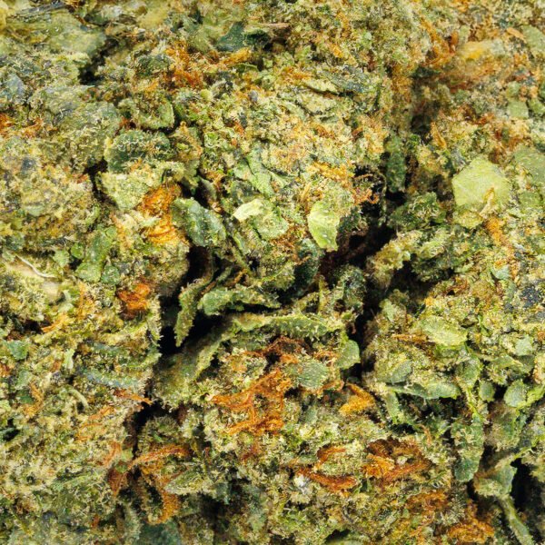 White Widow - Image 3