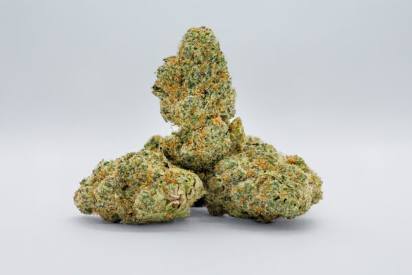 Windu - Image 4