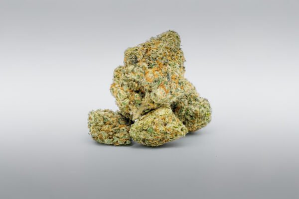 XJ-13 - Image 3