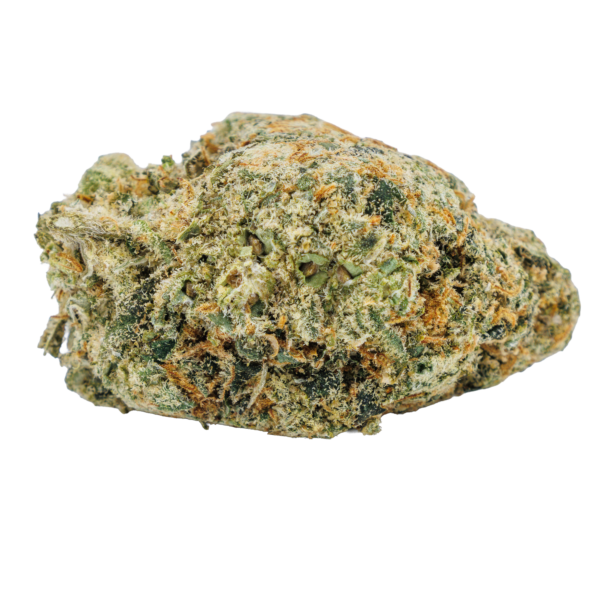 XJ-13