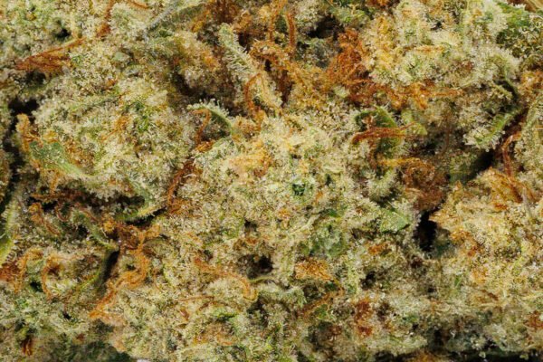 Apple Fritter - Image 5