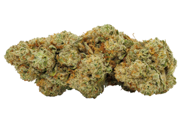 Apple Fritter