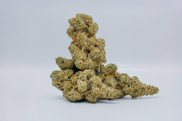 Sherbzooka - Image 3