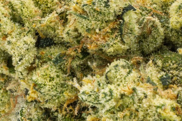 Future Haze - Image 5
