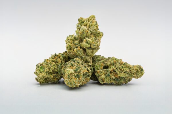 Future Haze - Image 3