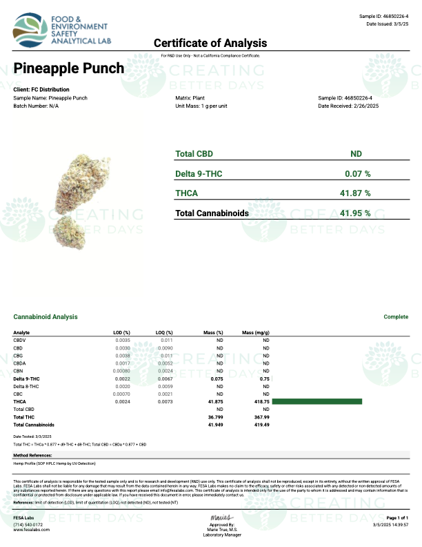 Pineapple Punch - Image 3