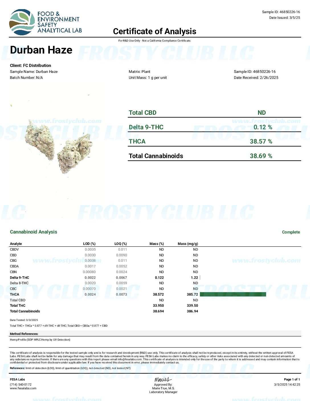 Durban Haze - Image 2