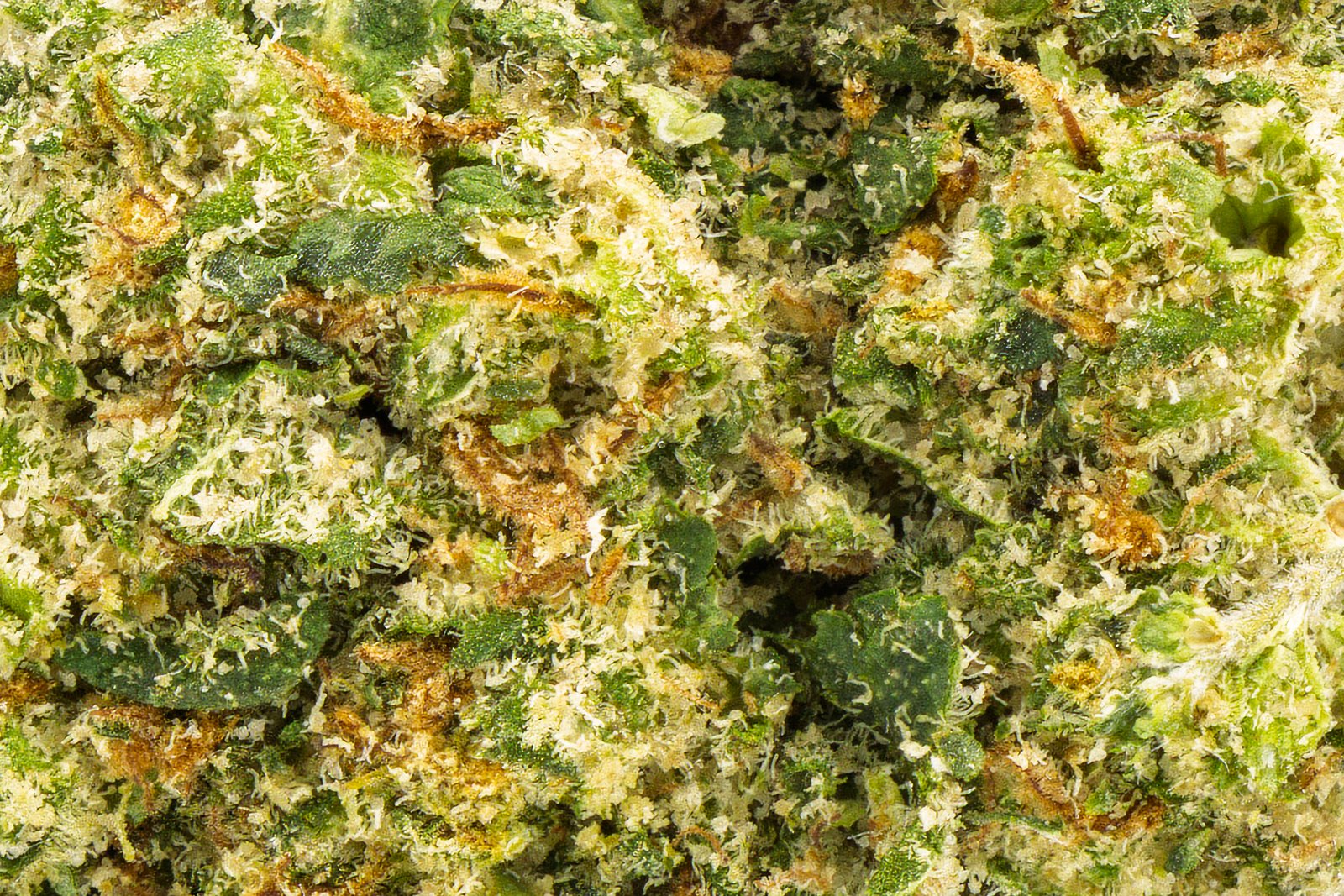 Durban Haze - Image 4