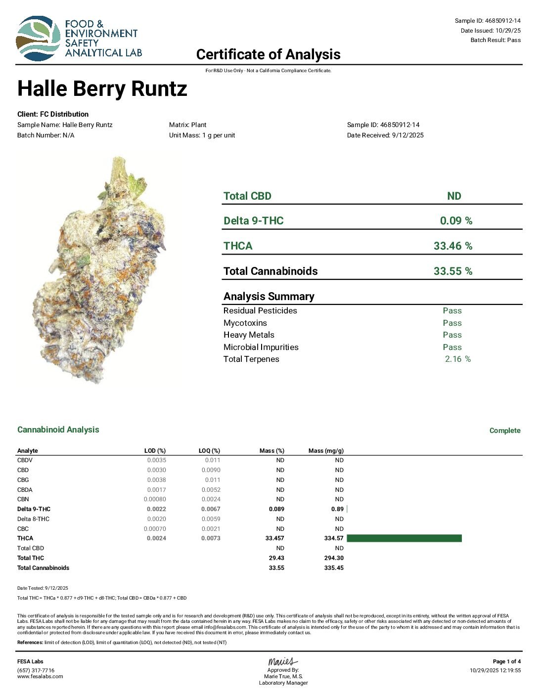Halle Berry Runtz - Image 2