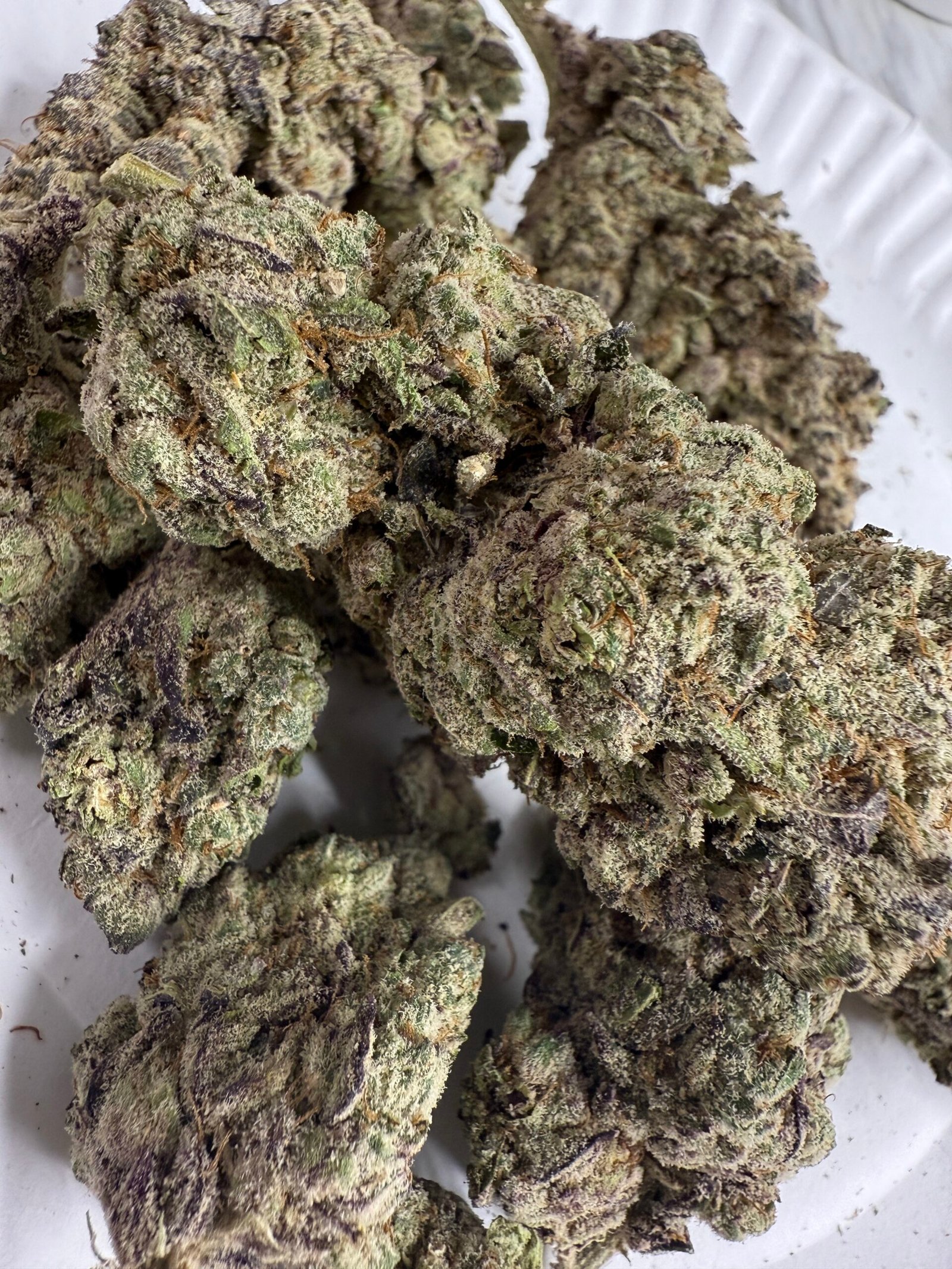 Halle Berry Runtz - Image 3