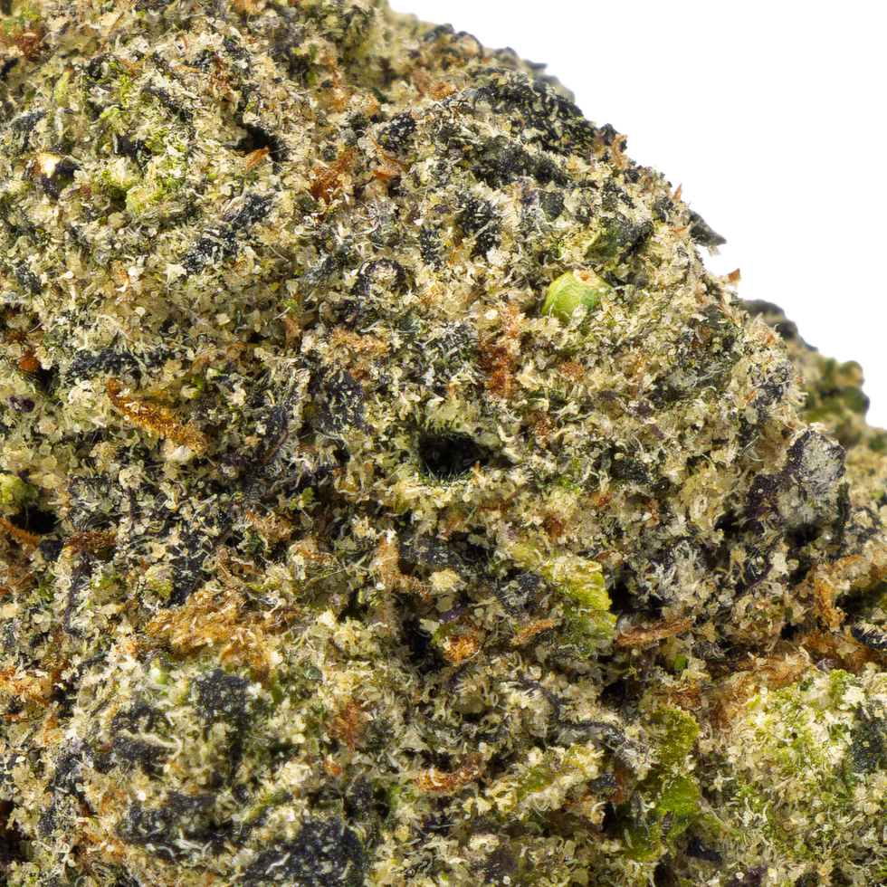 Close-up of Grape Gas hybrid THCA flower buds