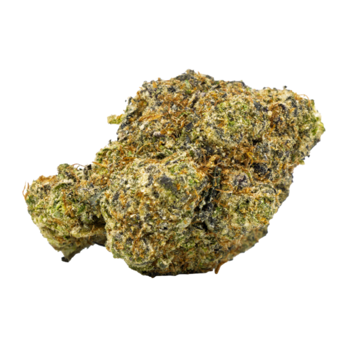 Purple Haze – Sativa – 26.06% THCA