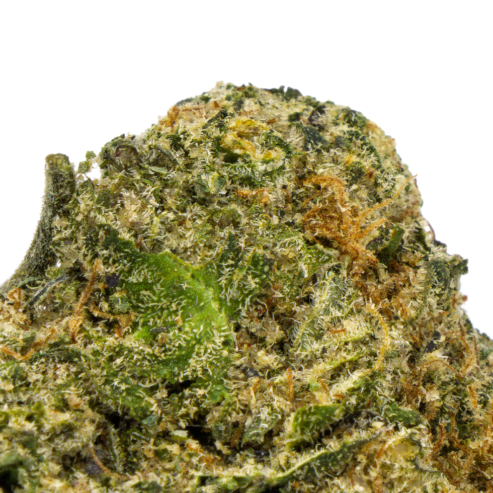 Close-up of Strawberry Guava indica THCA flower buds