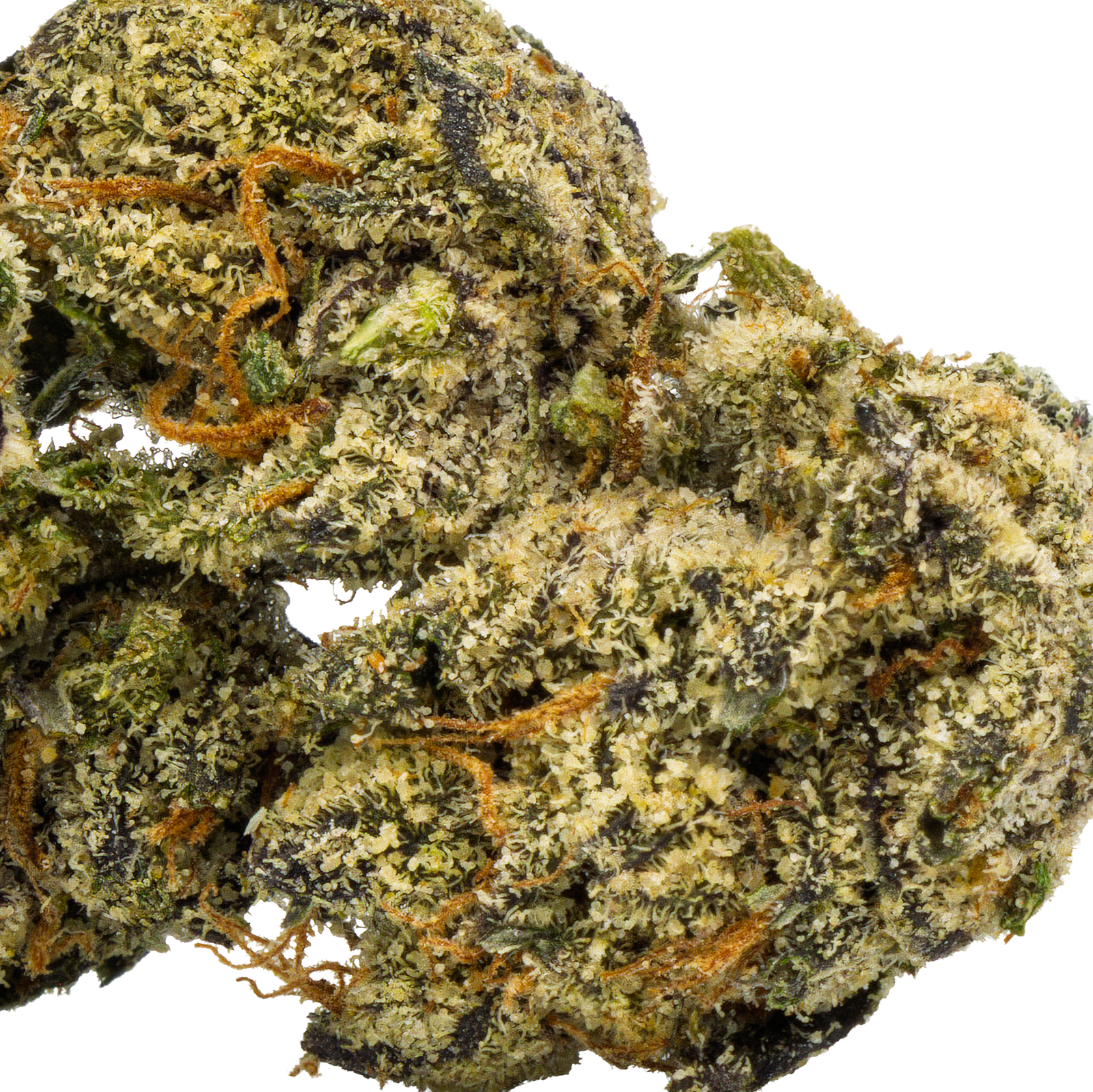 Ztopia – Indica – 34.30% THCA Flower