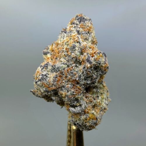 Candy Fumes THCA flower bud