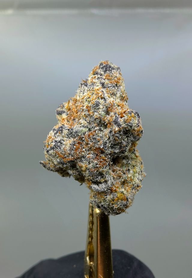 Candy Fumes THCA flower bud