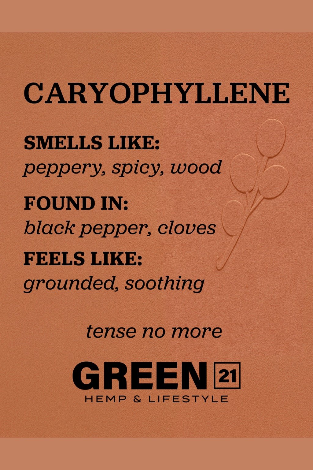 Beta-caryophyllene terpene poster showing a peppery, spicy cannabis aroma profile