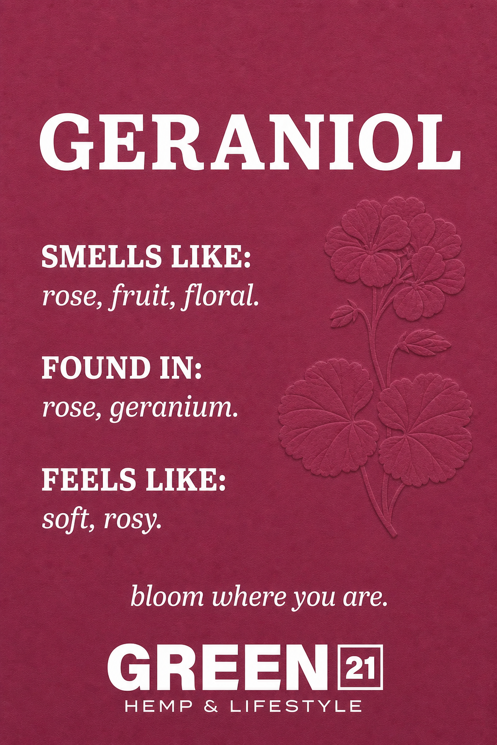 Geraniol terpene poster showing a rose and floral cannabis aroma profile