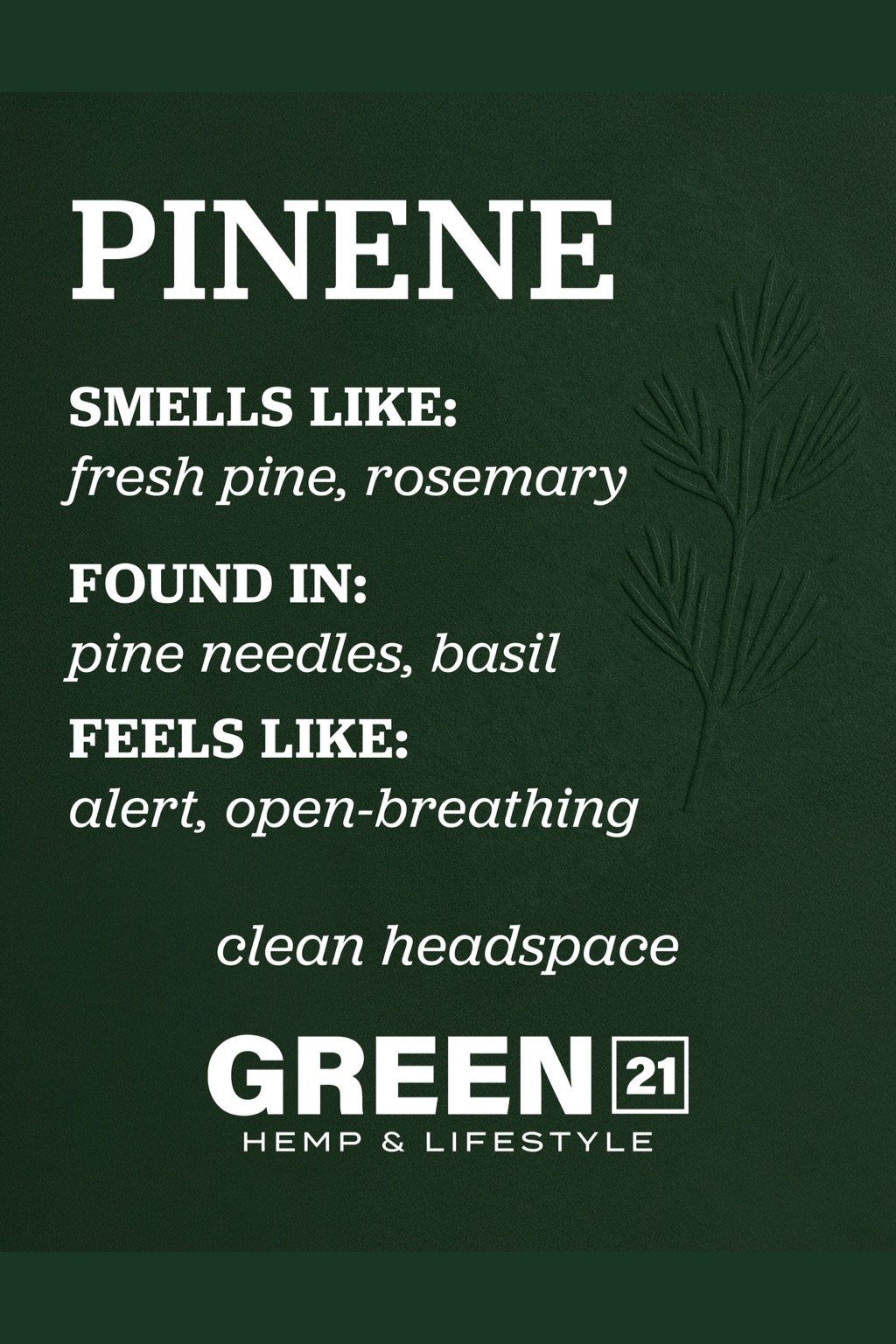 Pinene terpene poster showing a pine and crisp herb cannabis aroma profile