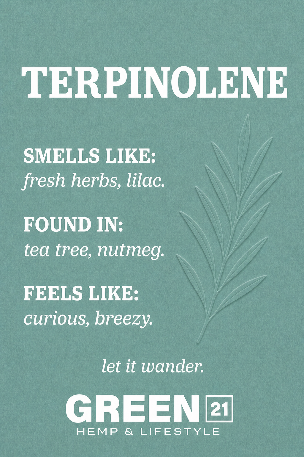 Terpinolene terpene poster showing a fresh herbal cannabis aroma profile