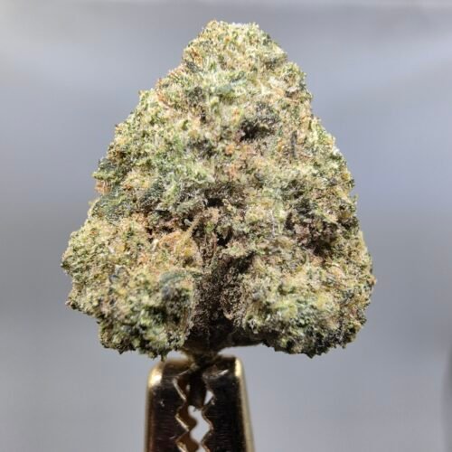 Alternate close-up of Mule Fuel THCA flower buds