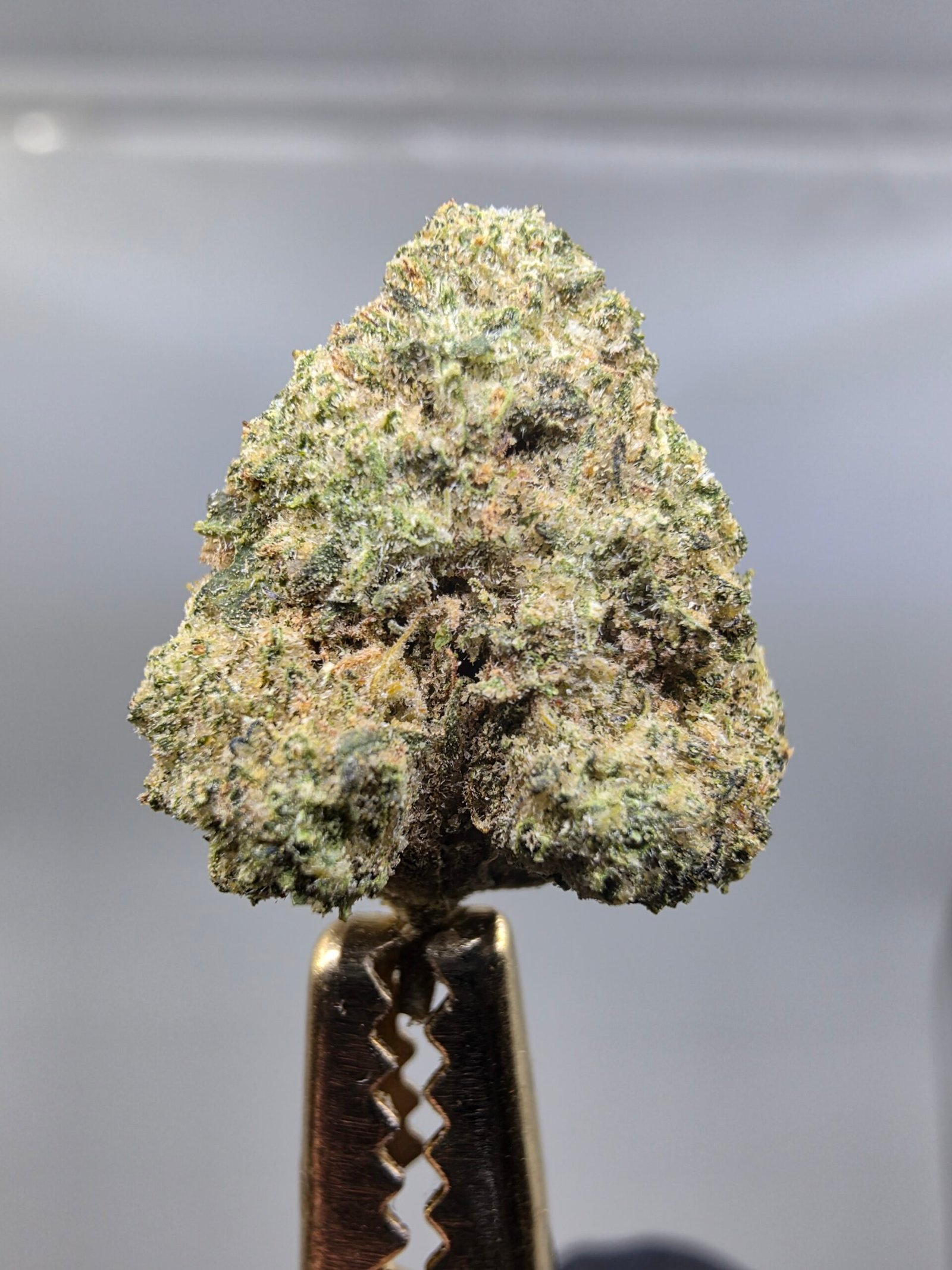Alternate close-up of Mule Fuel THCA flower buds
