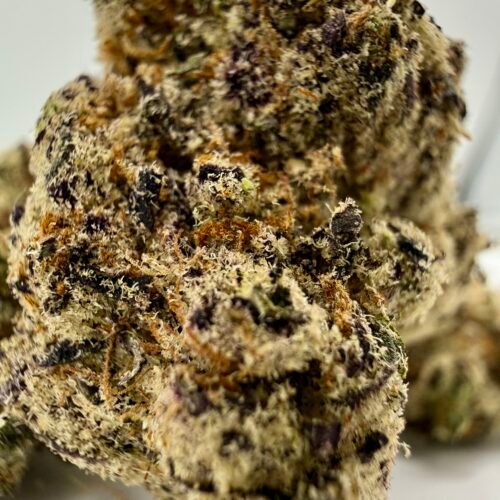 Macro close-up of Lizard Bones THCA flower buds