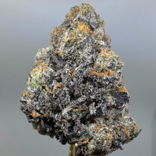 Close-up of Blue Flame THCA flower buds, lot 01313