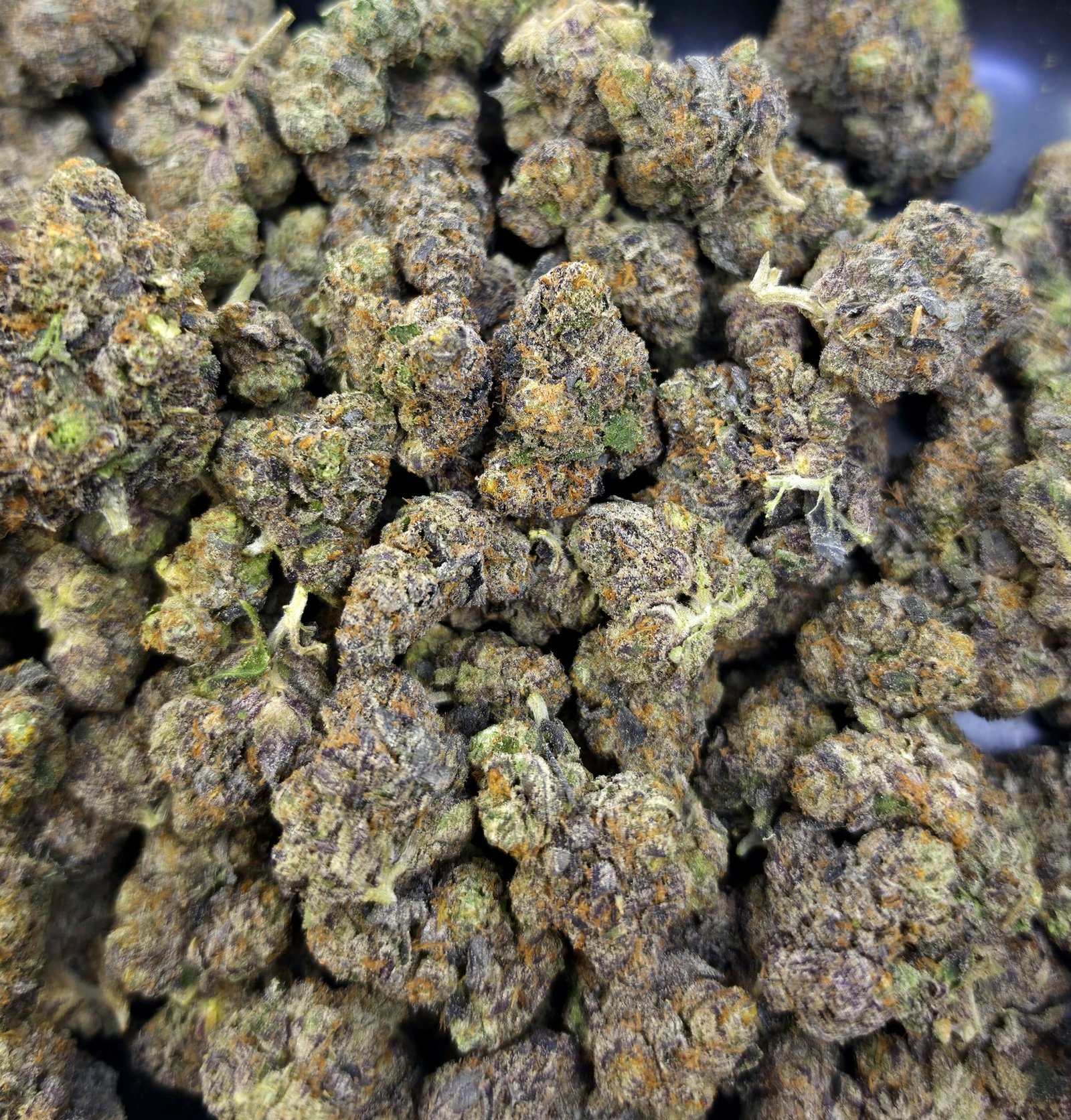 Blue Flame - Sativa - 31.58% THCA Flower