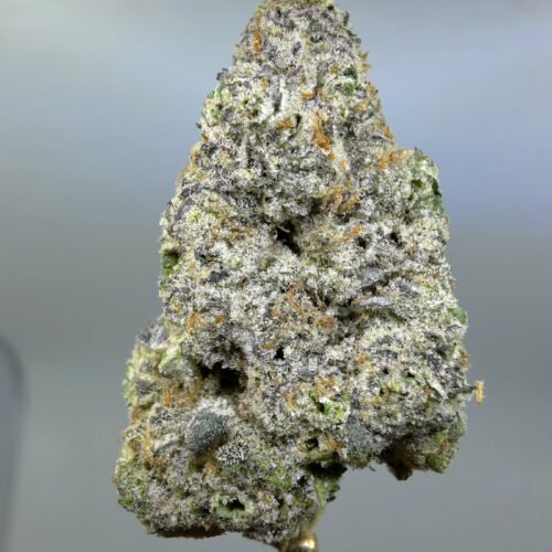 Close-up of Granny Kandy THCA flower buds, lot 01308