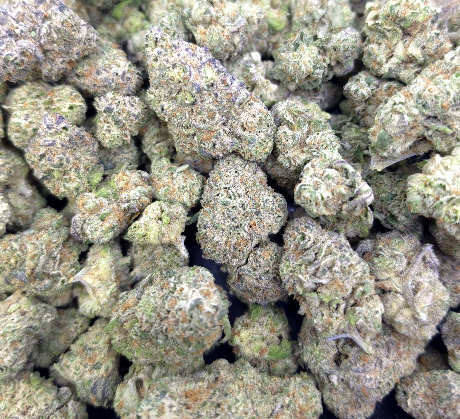 Granny Kandy - Sativa - 40.33% THCA Flower
