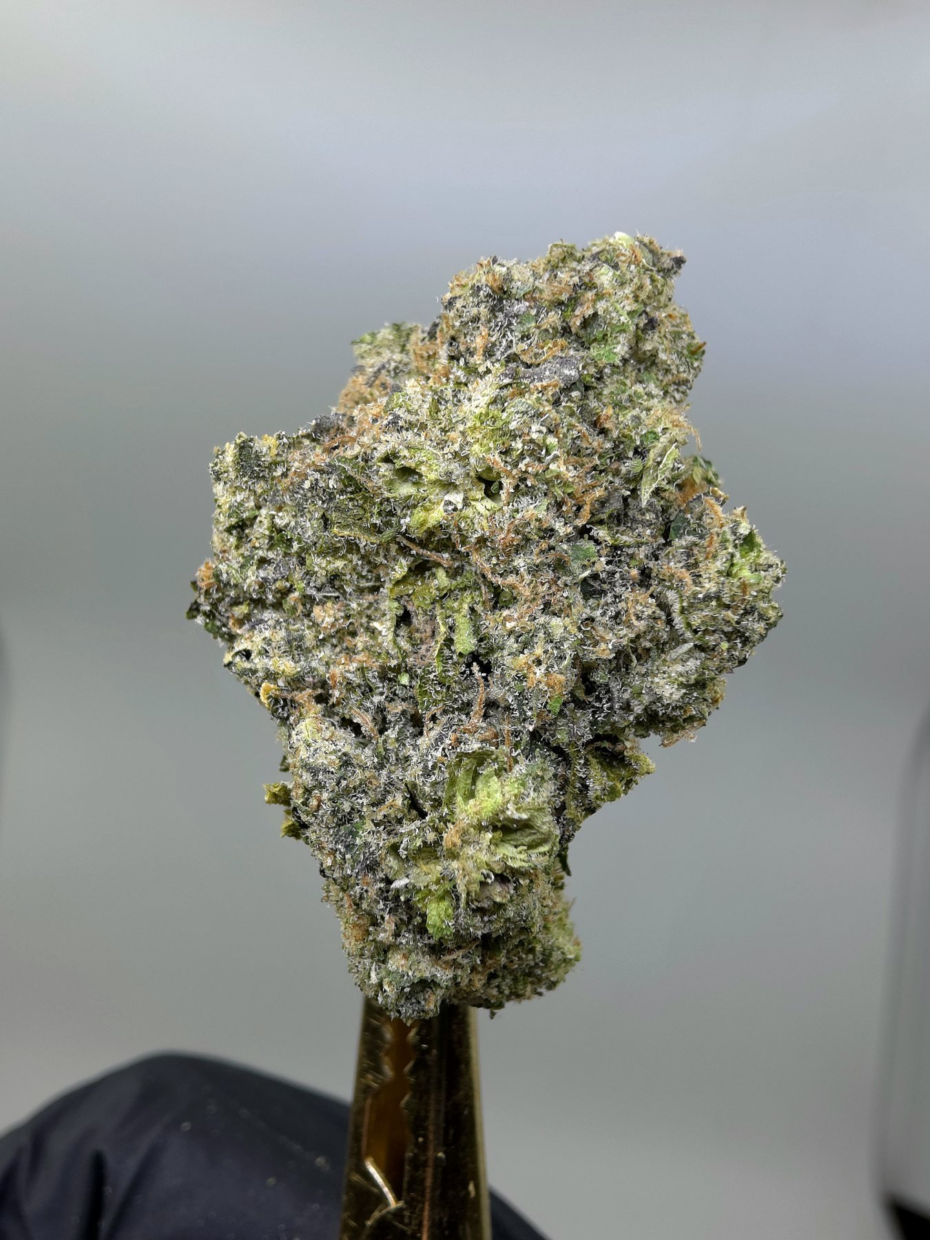 Close-up of Grape Cream Cake THCA flower buds, lot 01318