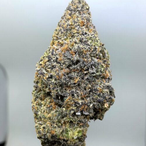 Close-up of Headband THCA flower buds, lot 01310