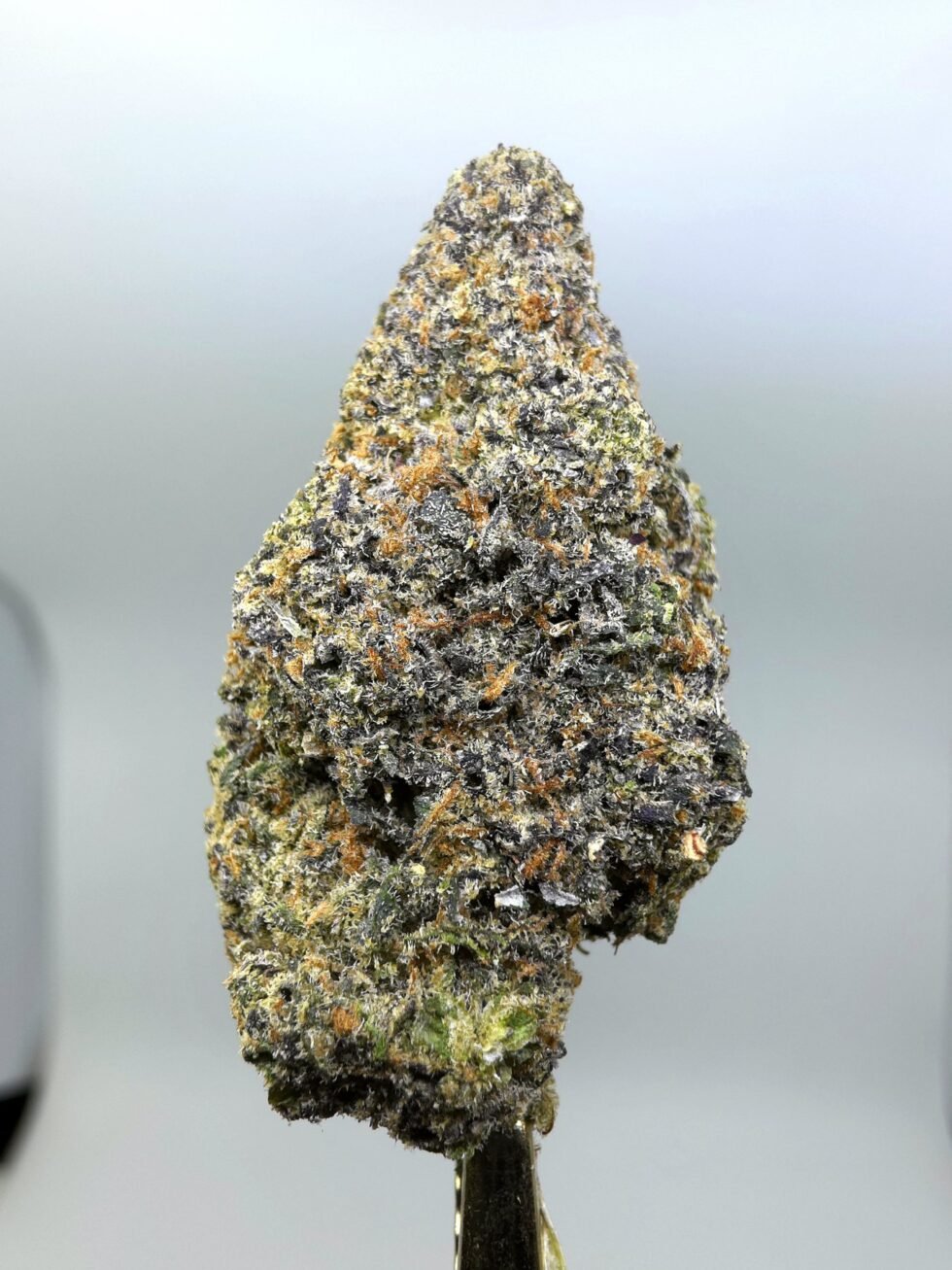 Close-up of Headband THCA flower buds from lot 01310