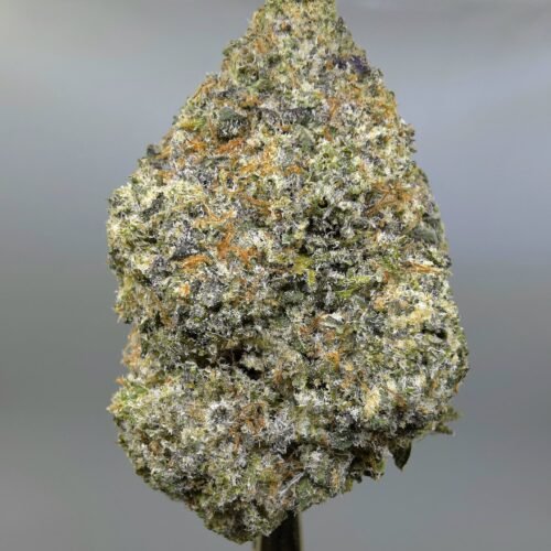 Close-up of Juicy J THCA flower buds, lot 01281