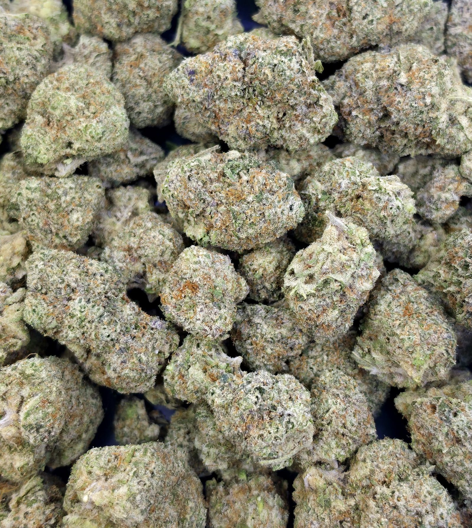 Juicy J - Hybrid - 27.98% THCA Flower