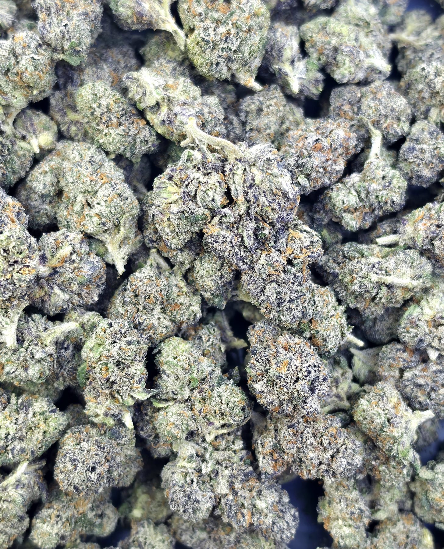 Lemon Cherry Pie - Hybrid - 30.94% THCA Flower