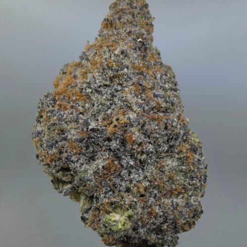 Close-up of Purple Haze THCA flower buds, lot 01243