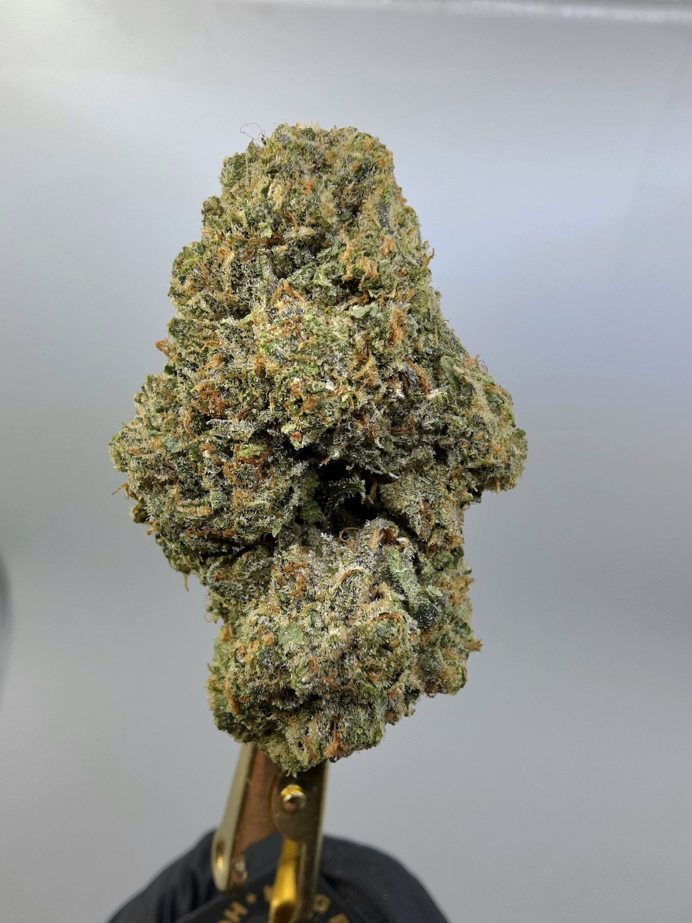 Close-up of Super Jack THCA flower buds, lot 01289