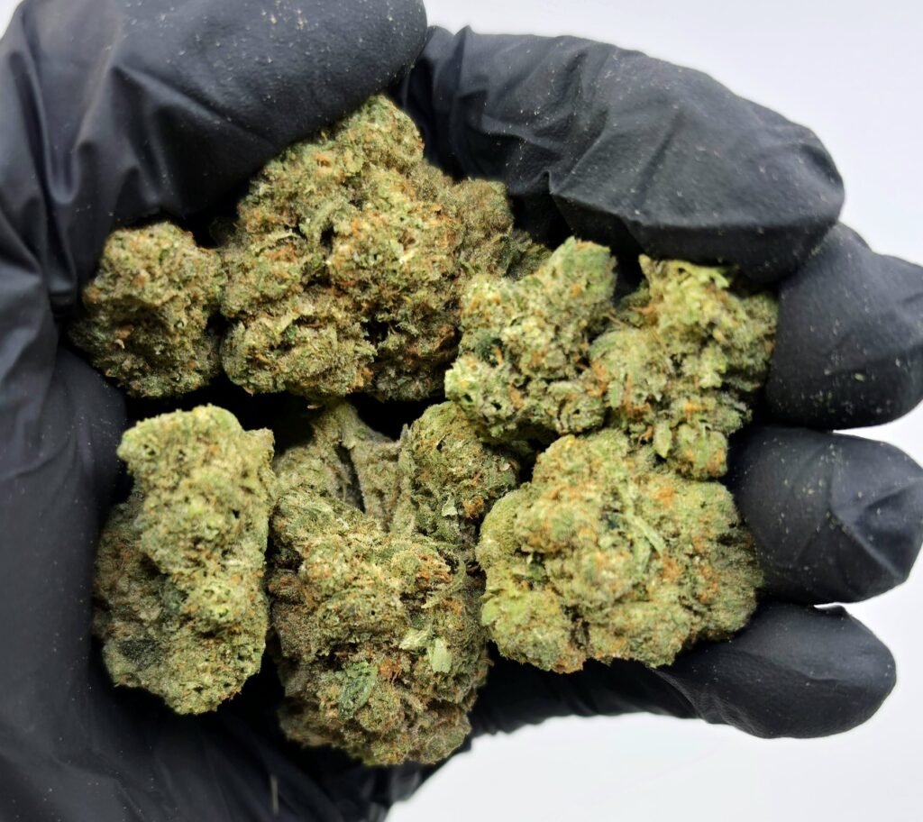 Close-up of Super Jack THCA flower buds, lot 01289