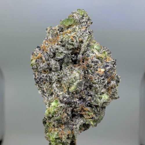 Close-up of Unicorn Candy THCA flower buds, lot 01311