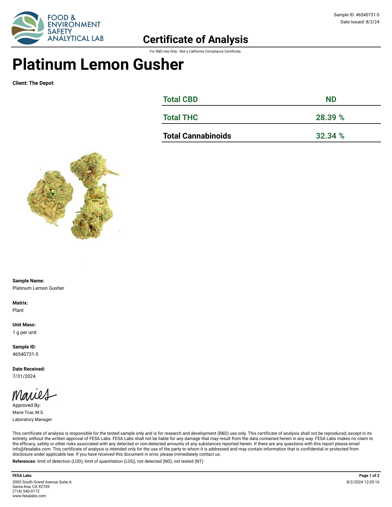 Platinum Lemon Gusher laboratory report page 1